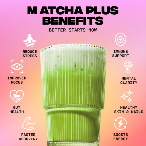 Matcha+ Starter Kit (30 Servings) - Bright Choice
